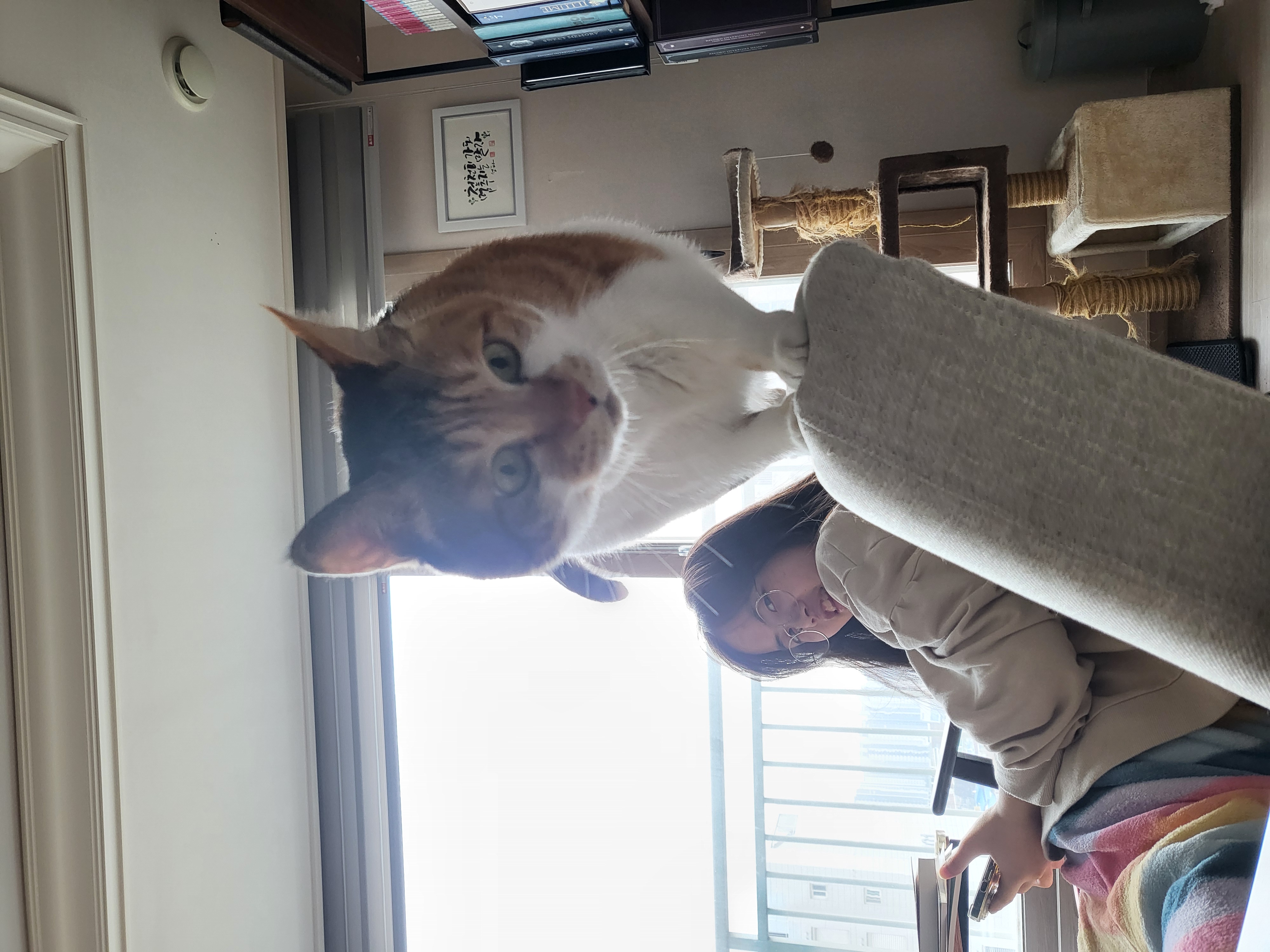 뽀얌이  5년 이야기