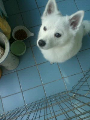 스피치 돌돌이에 가족이되어 주세요