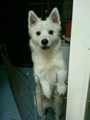 스피치 돌돌이에 가족이되어 주세요