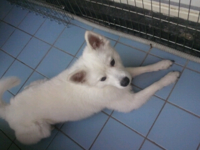 스피치 돌돌이에 가족이되어 주세요