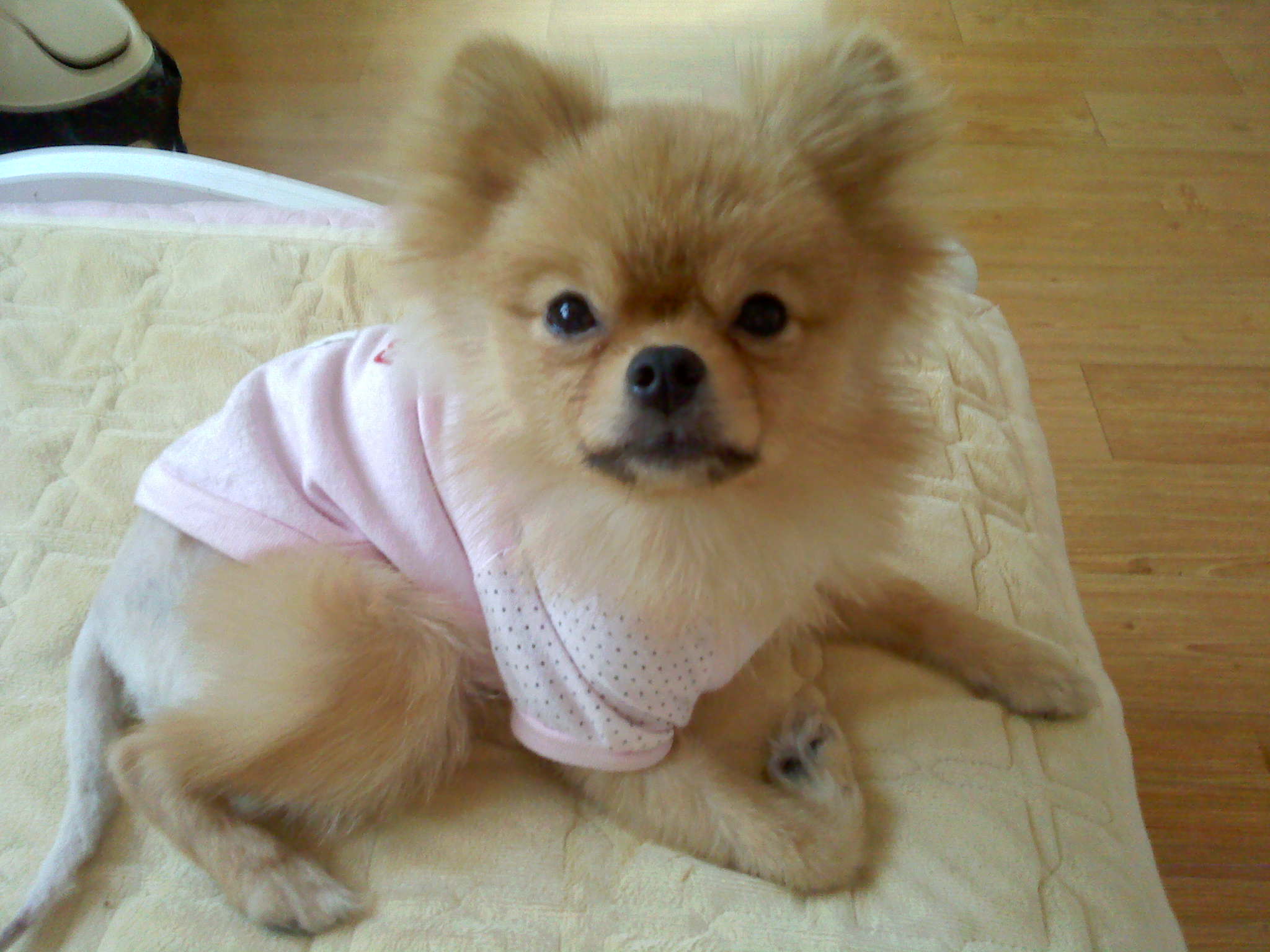 광주 서구 풍암동 금당초등학교앞 주택가