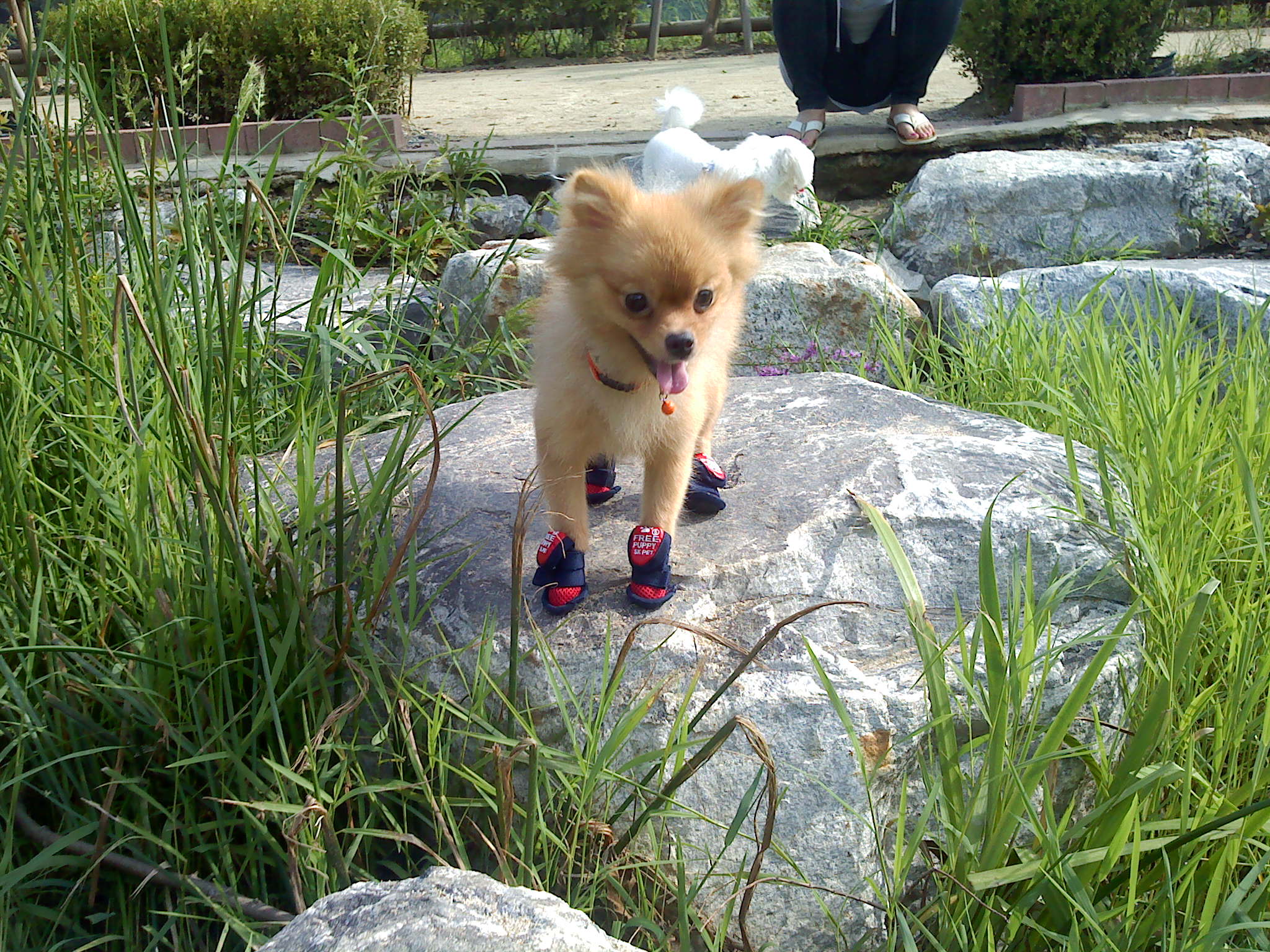 광주 서구 풍암동 금당초등학교앞 주택가