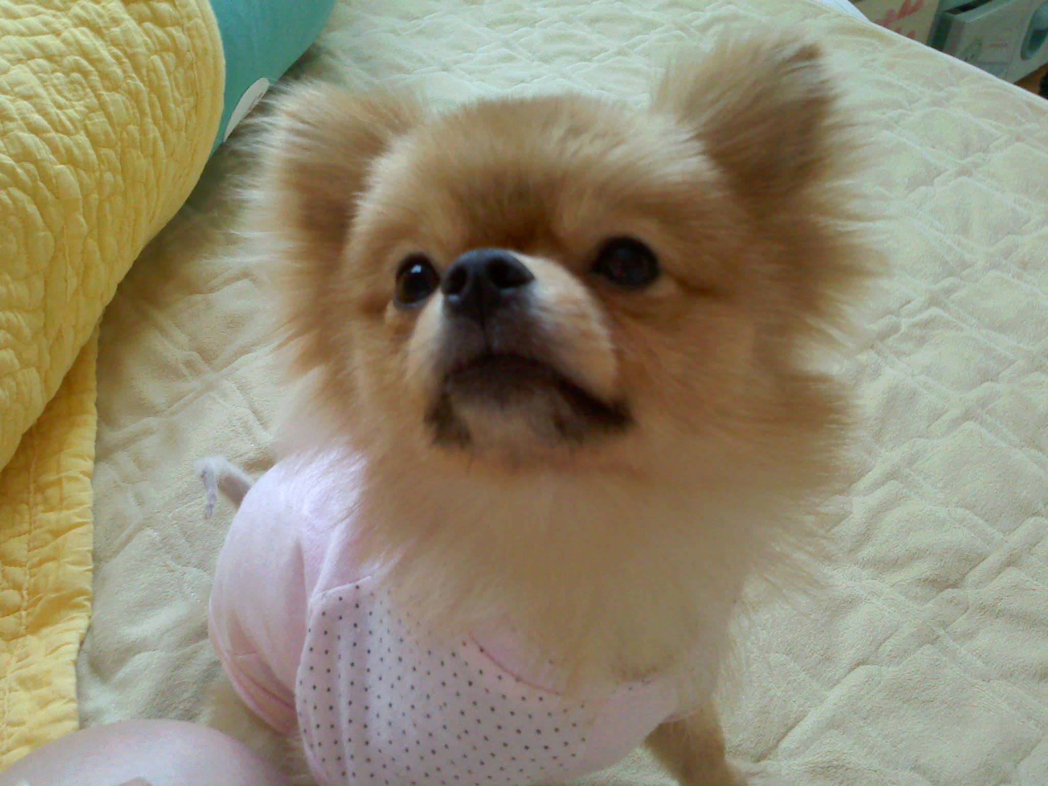 광주 서구 풍암동 금당초등학교앞 주택가