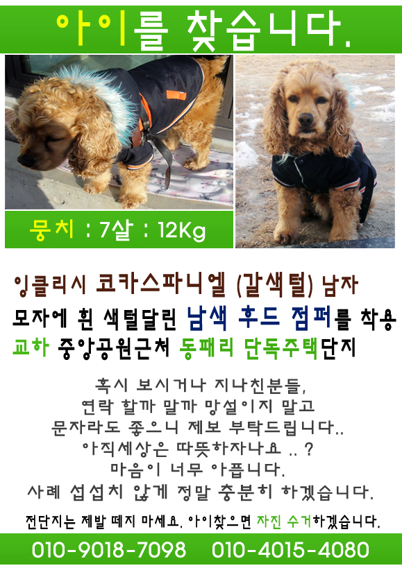 파주 교하신도시 뭉치를 찾습니다.ㅠ