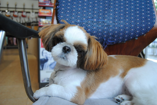 경기도 의정부시 금오동 에서 잃어 버린 숙자를 찾습니다.