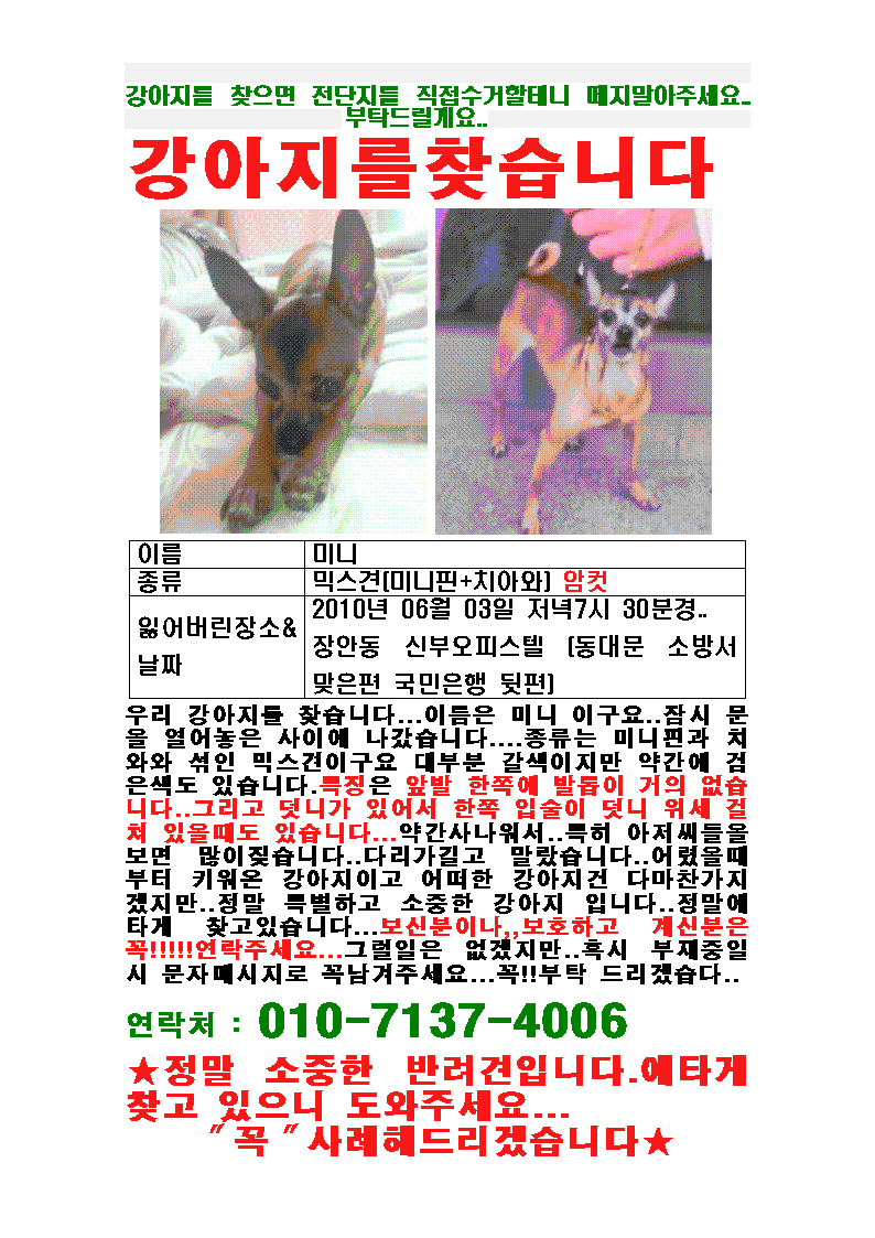 <첨부파일꼭봐주세요!!!!!꼭이요!!!!!>동대문구장안동우리미니찾아요ㅠㅠ