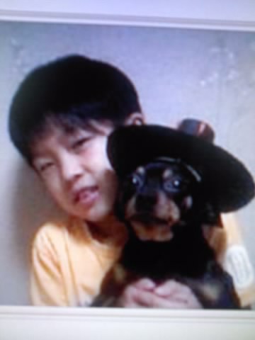 미니핀 (남) - 전국에 8살 해피를 찾습니다. ( 사례금 200만원 )