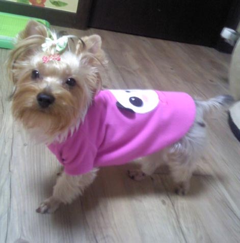 우리 아가를 찾습니다