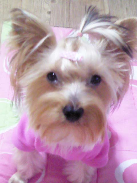 우리 아가를 찾습니다