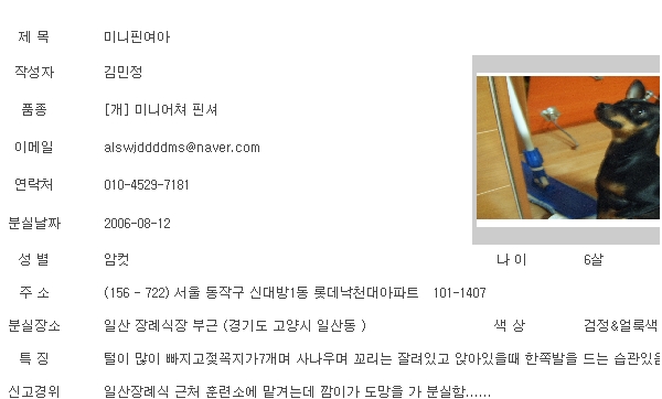 일산고양시일산공원근처미니핀(여).하루하루가 고통입니다