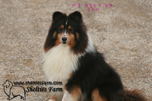 프라임을 찾습니다