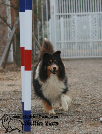 프라임을 찾습니다