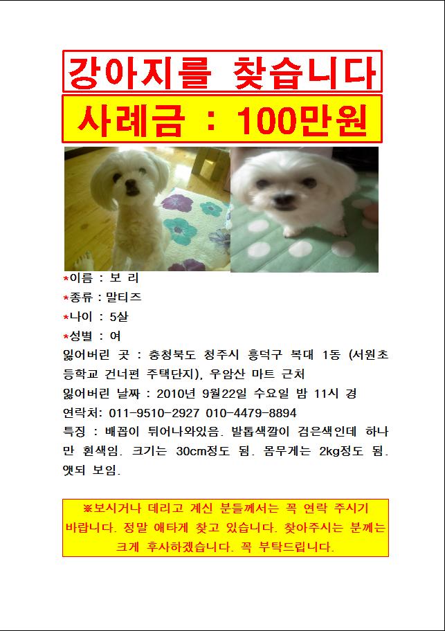 말티여아찾아요