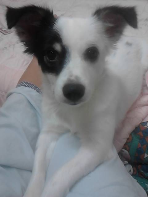 강남구 개포동 구룡마을