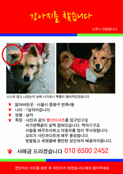 서울시 중랑구 면목4동에서 아가를 찾습니다.