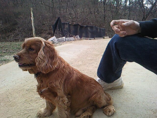 제발 저희 3 아이들을 찾아주세요