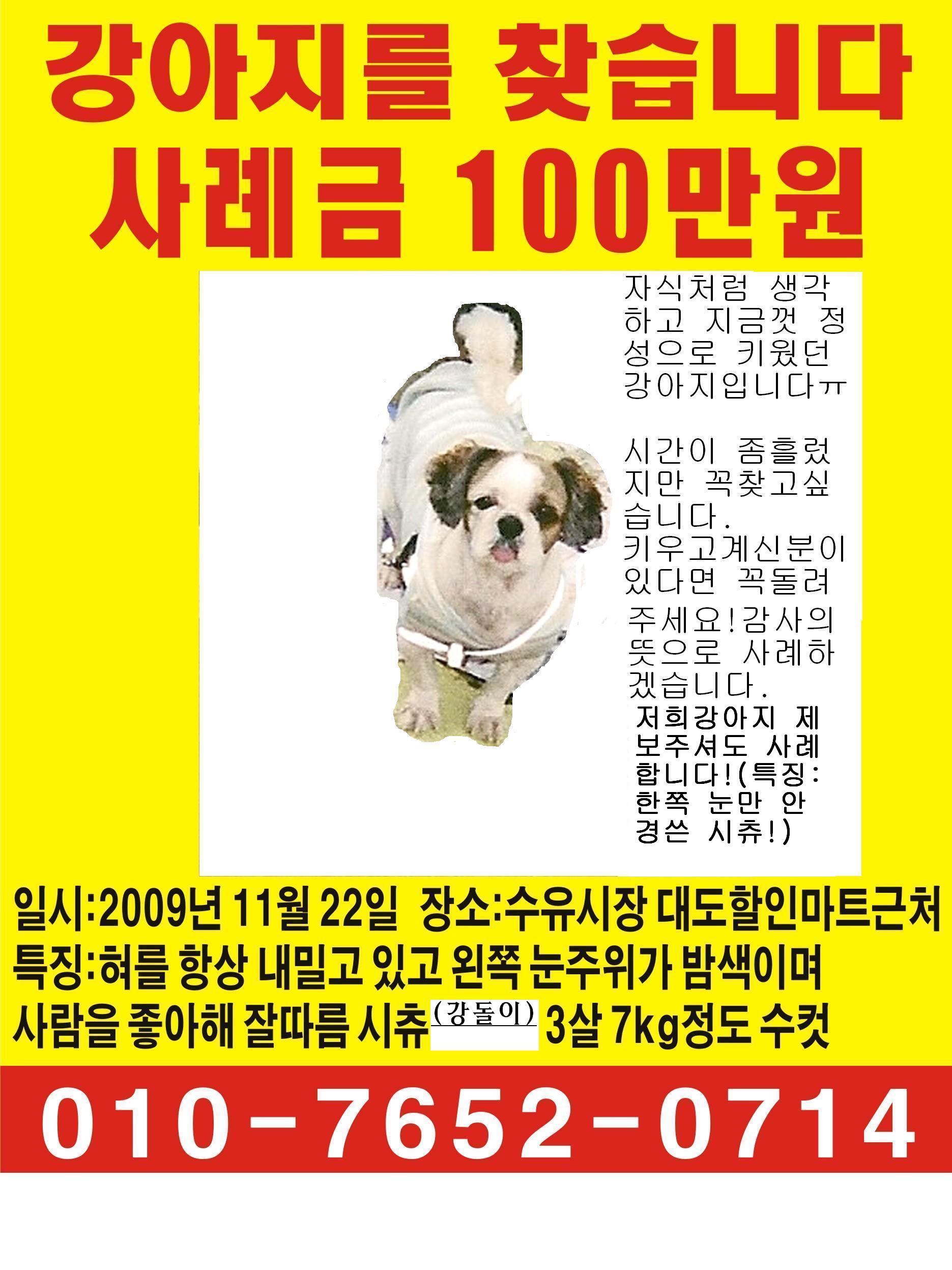 2009.11.22일경(강북 수유시장) 시츄찾습니다ㅠㅠ