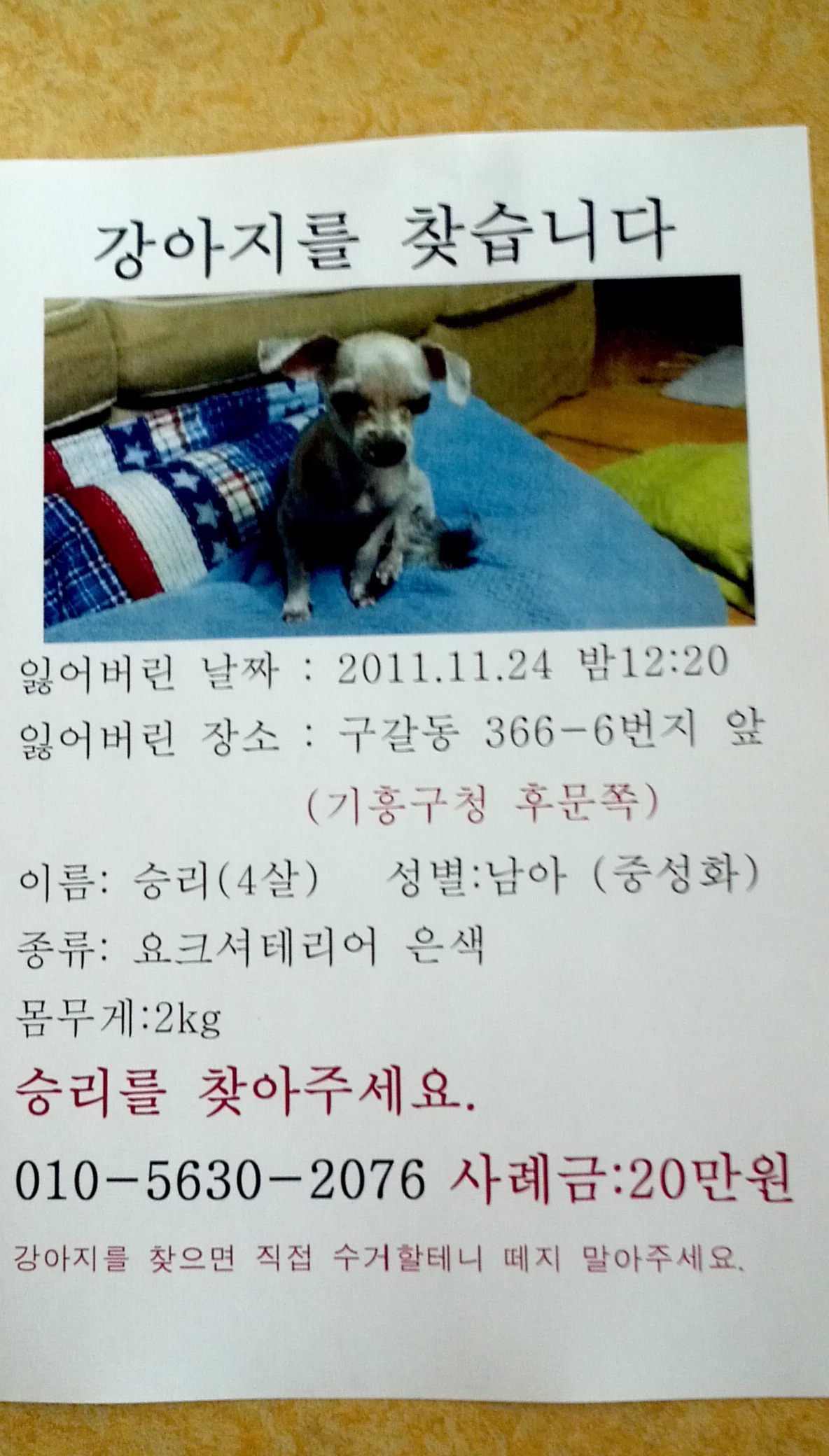 승리를  찾아주세요