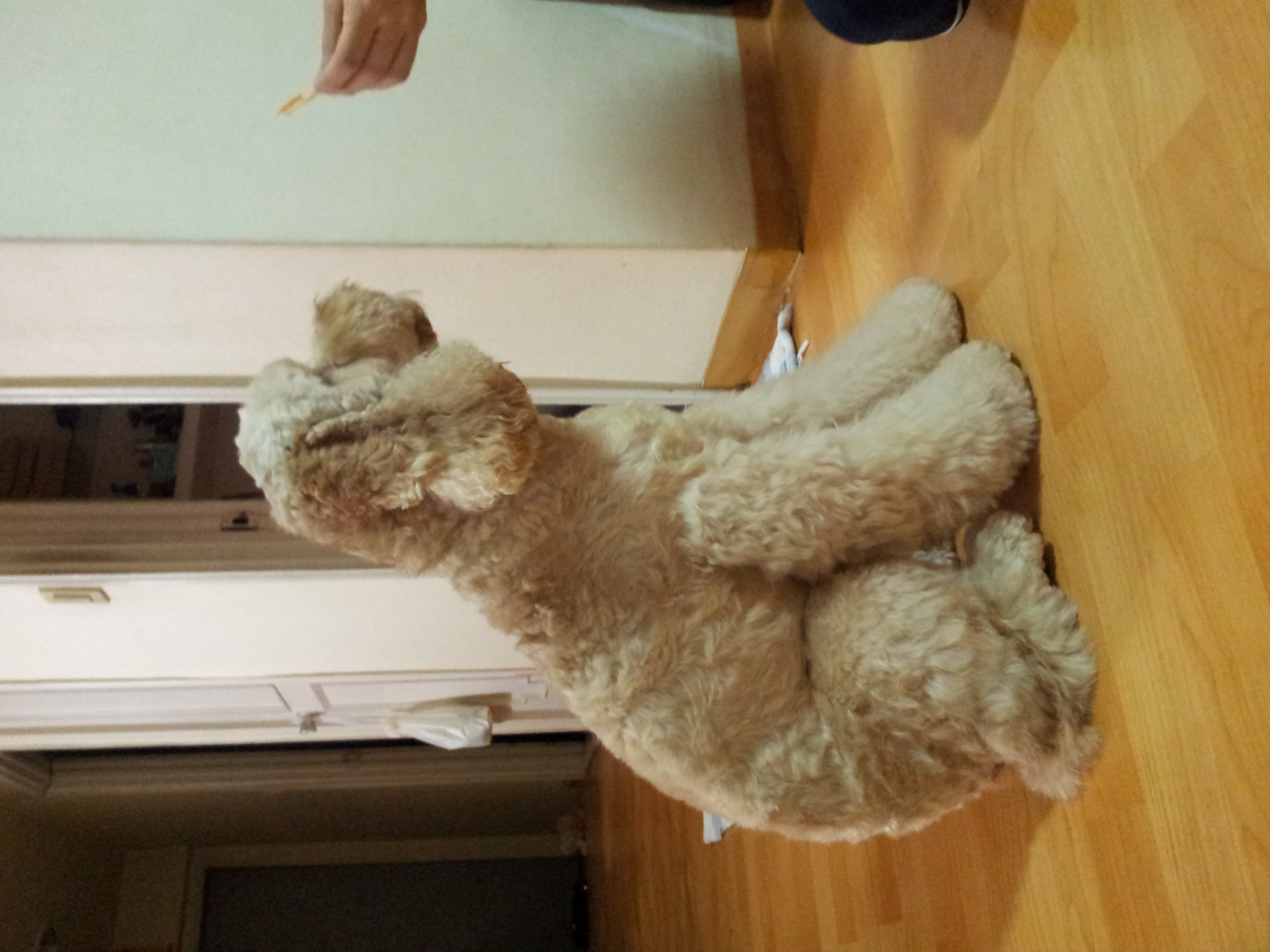 여의도에서 잃어버렸어요ㅜㅠ