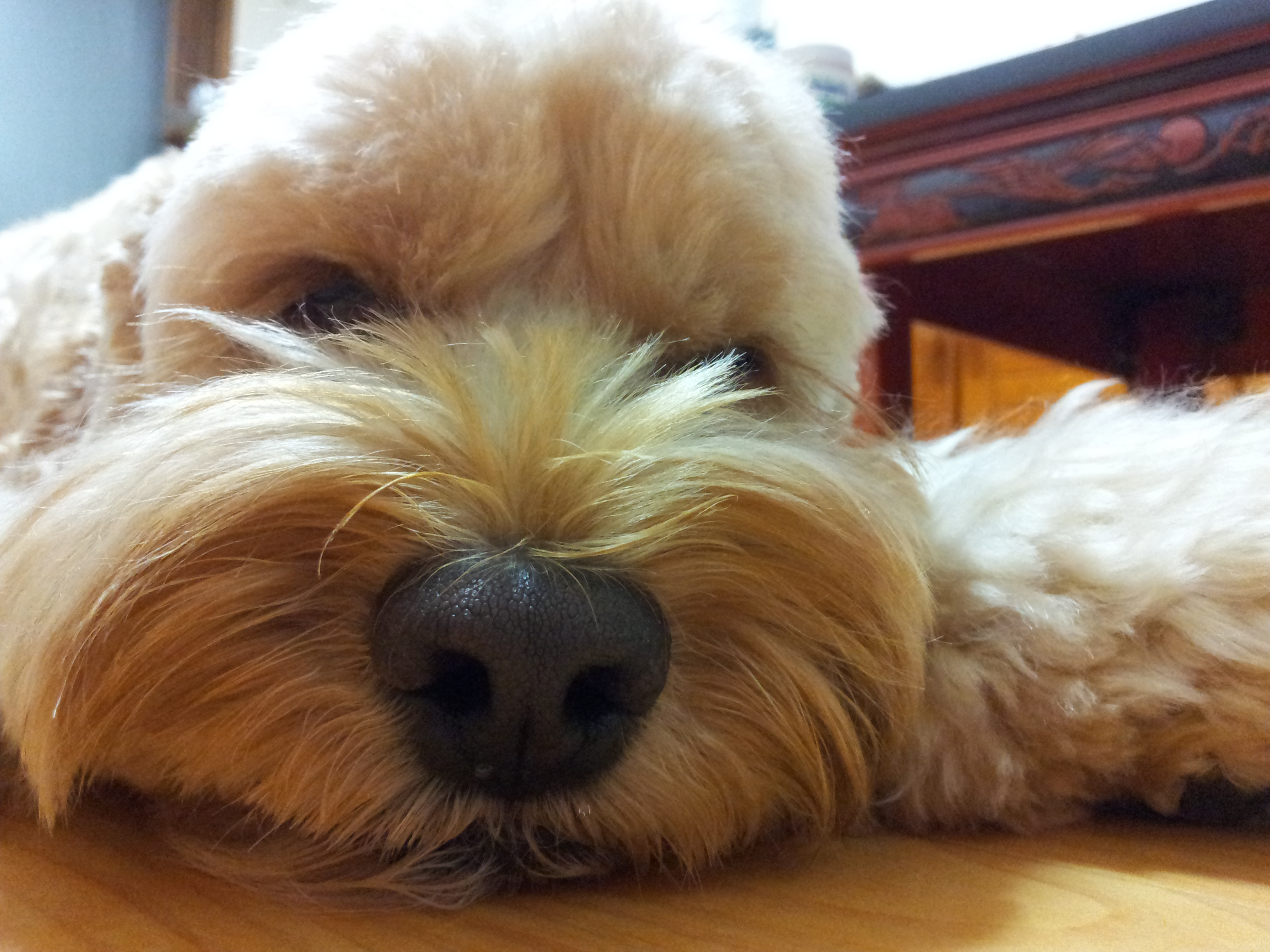 여의도에서 잃어버렸어요ㅜㅠ