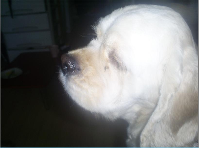 구로구 고척동에서 아코 없어&#51275;어요 ㅠㅠ