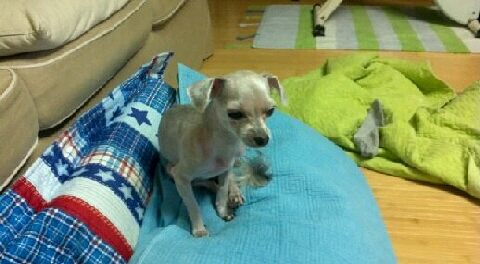 용인시 기흥구 승리를 찾아주세요.