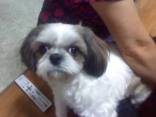 경기도 여주 이마트 주변 우리 사랑이 찾아주세요