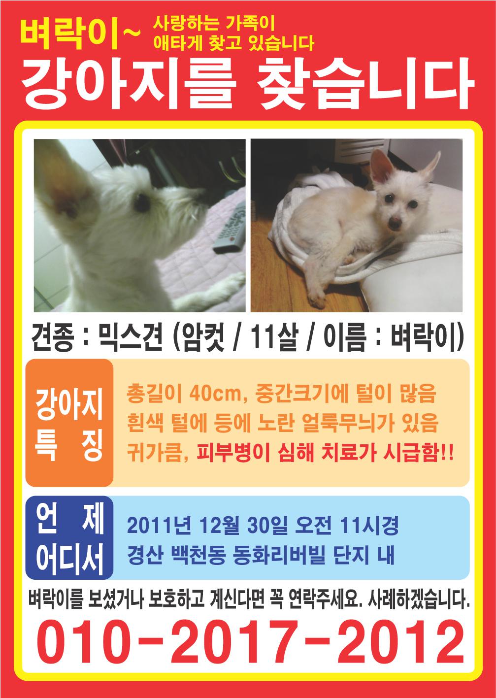 경산에서 분실...꼭 찾아주세요