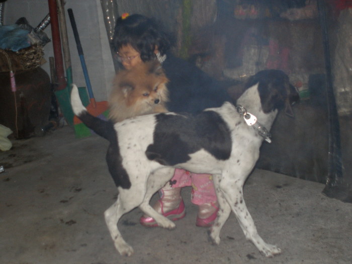 얼룩이(포인터)찾아요