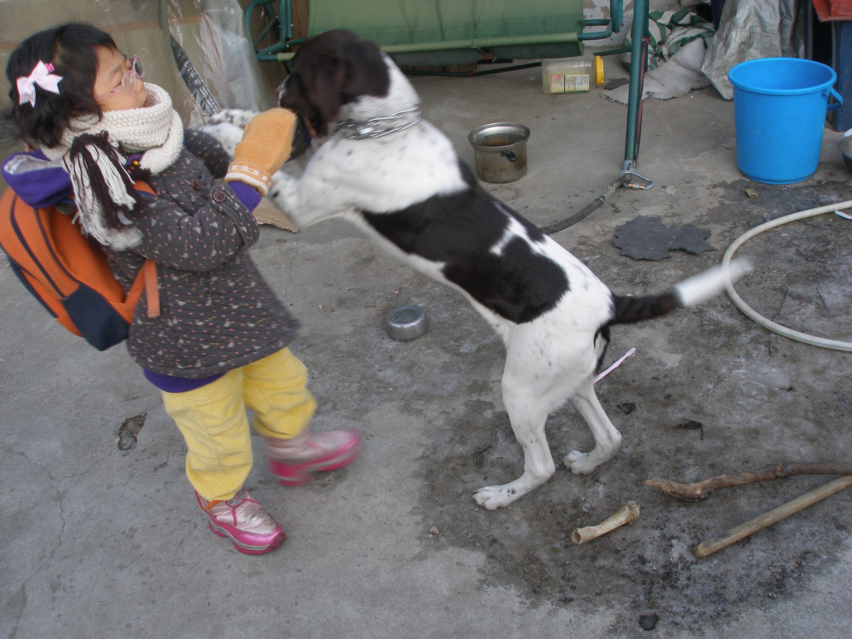 얼룩이(포인터)찾아요