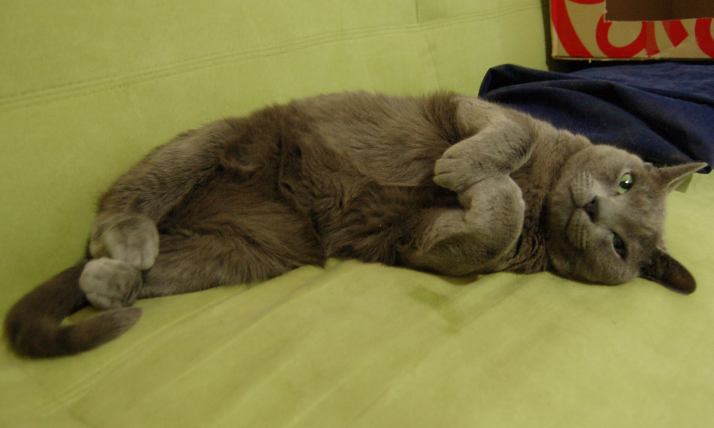 (돌아왔습니다)서울시 송파구 풍납동