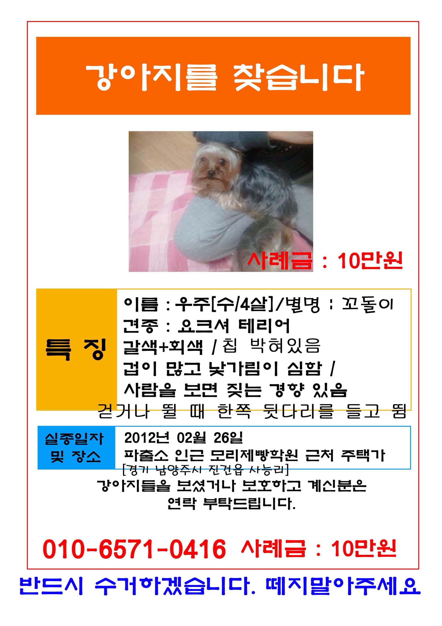 남양주 진건 요크셔 남아 찾습니다