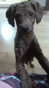 저희 메카를 찾아요