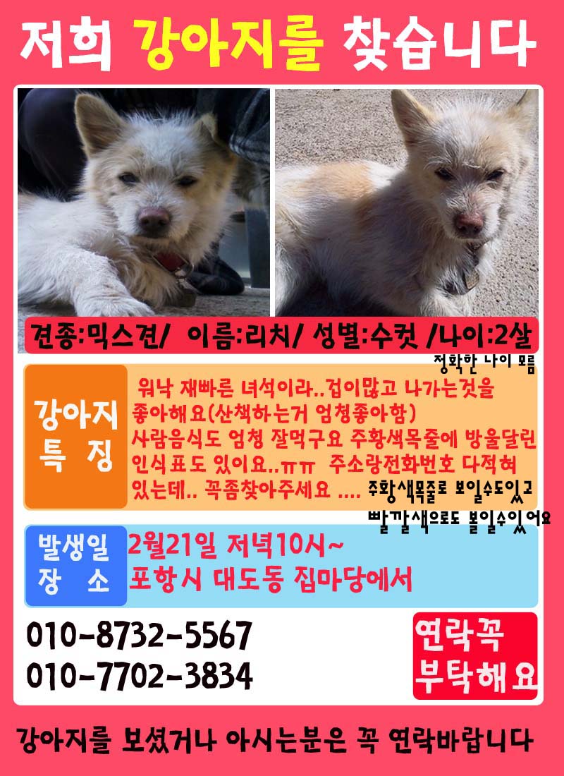 (포항)저이 리치을 찾습니다