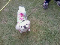 안산 고잔1동 원고잔공원근처