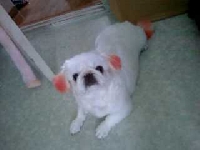 안산 고잔1동 원고잔공원근처