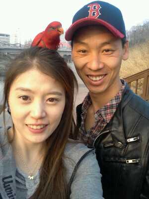 잃어버린빨간앵무새(레드로리)를찾습니다....