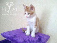 [D12-031관외] 플라스틱 상자에 버려졌던 