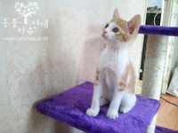 [D12-031관외] 플라스틱 상자에 버려졌던 