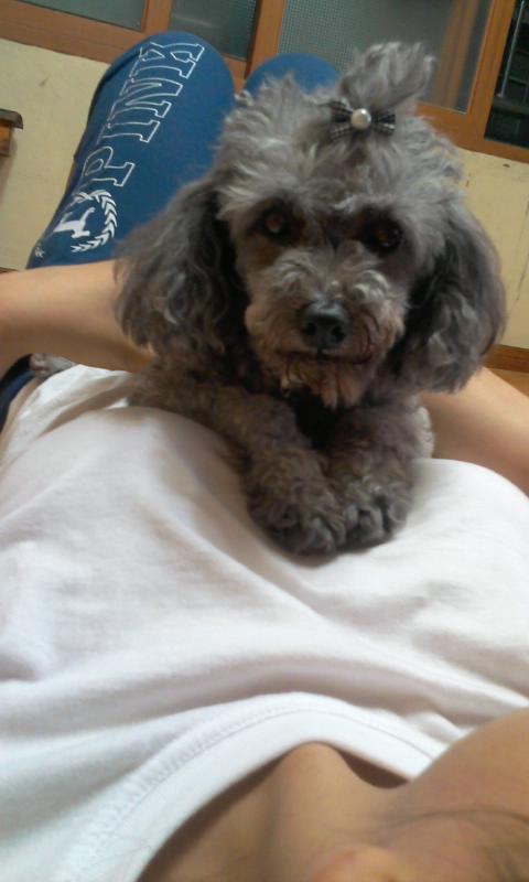 저희아리좀찾아주세요