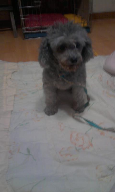 저희아리좀찾아주세요