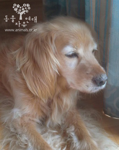 [D12-035관외]리조트에 버려졌던 