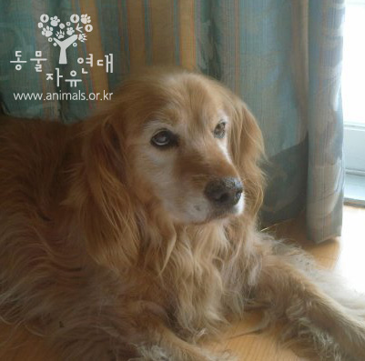 [D12-035관외]리조트에 버려졌던 