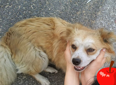 [D12-044관외] 세차장에서 생활하는 