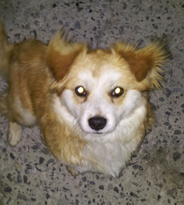 [D12-044관외] 세차장에서 생활하는 