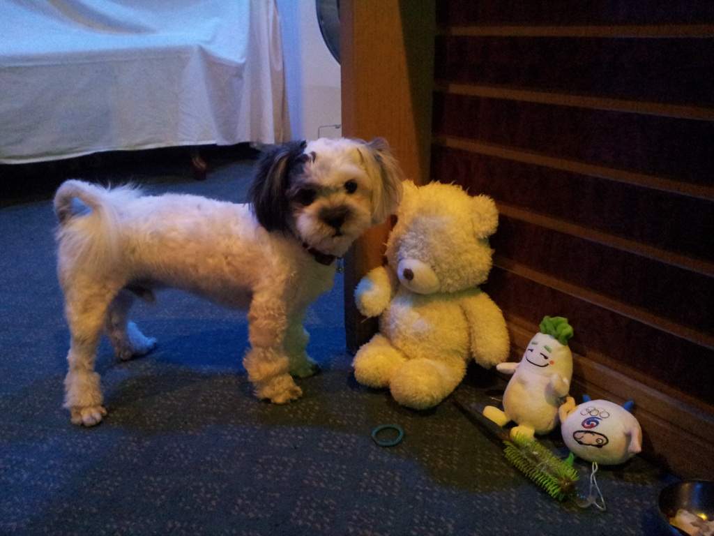 경상남도 진주 : 돌비를 찾습니다.