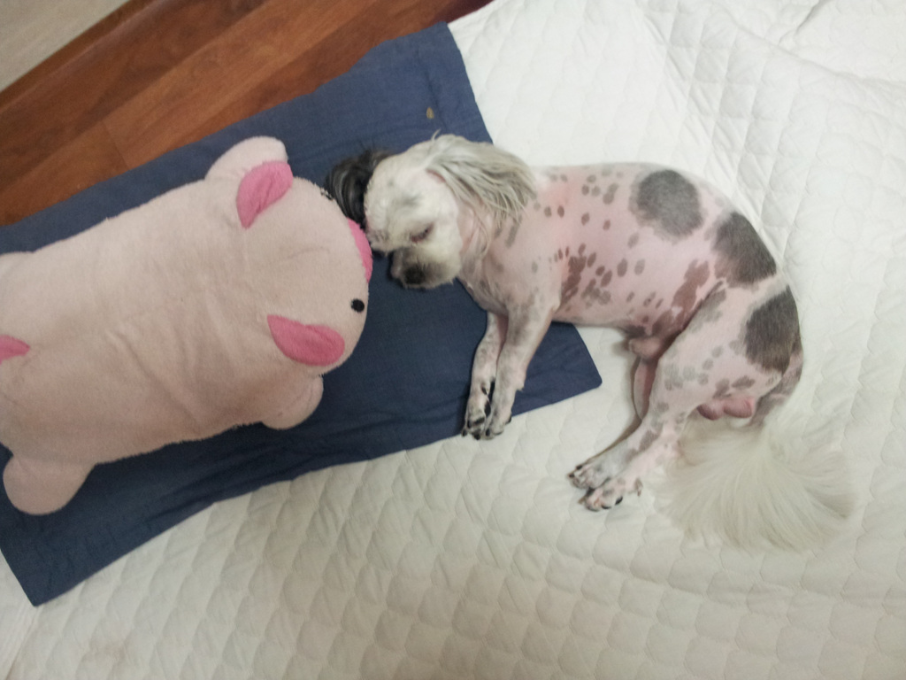 경상남도 진주 : 돌비를 찾습니다.