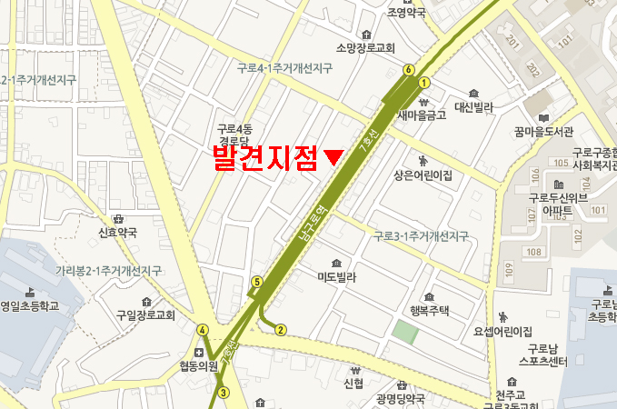 서울시 구로구 포메라니안 보호하고 있습니다