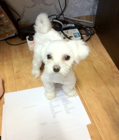 저희 코봉이 찾아요.