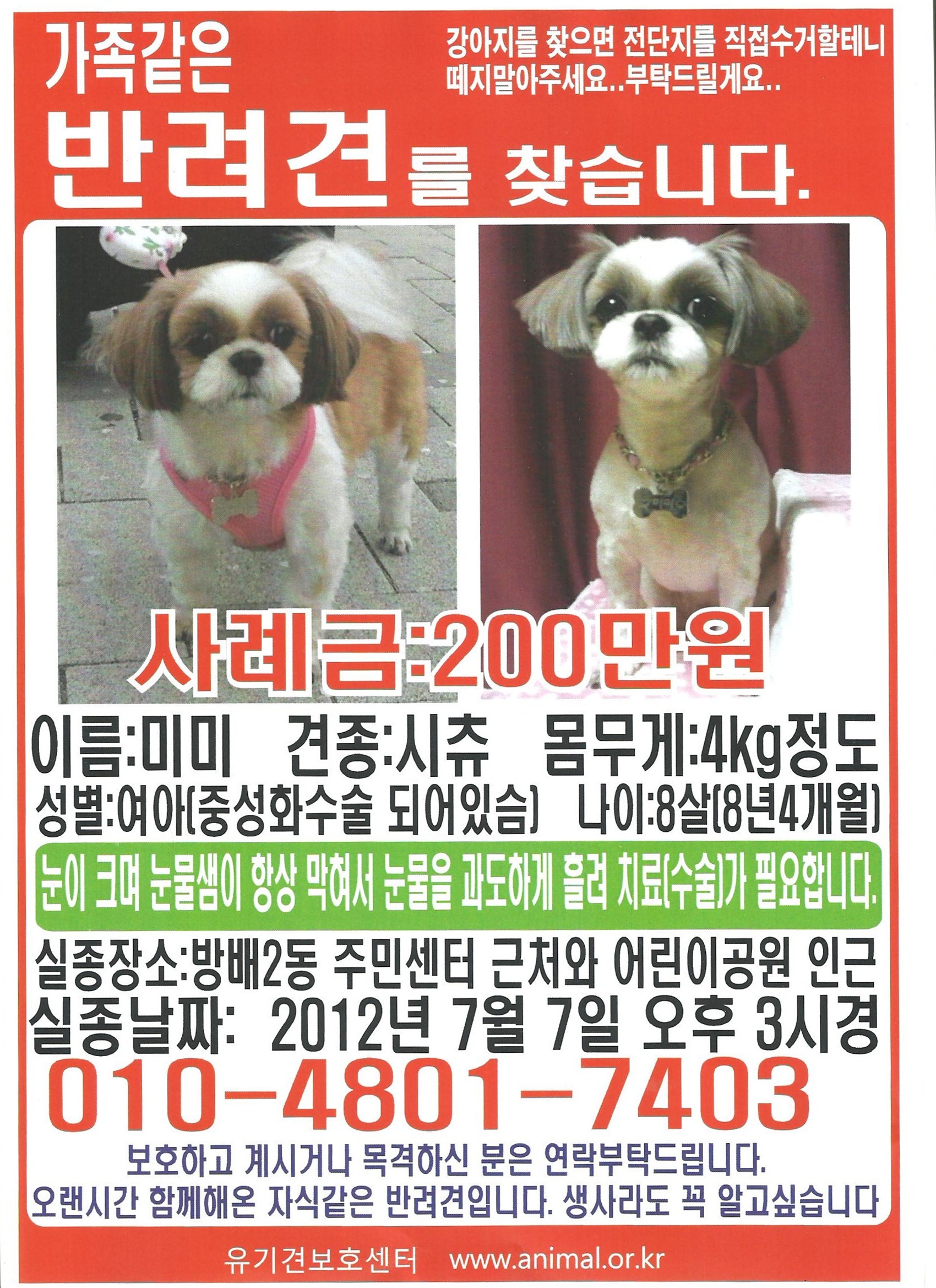 반려견 [미미]를 찾습니다